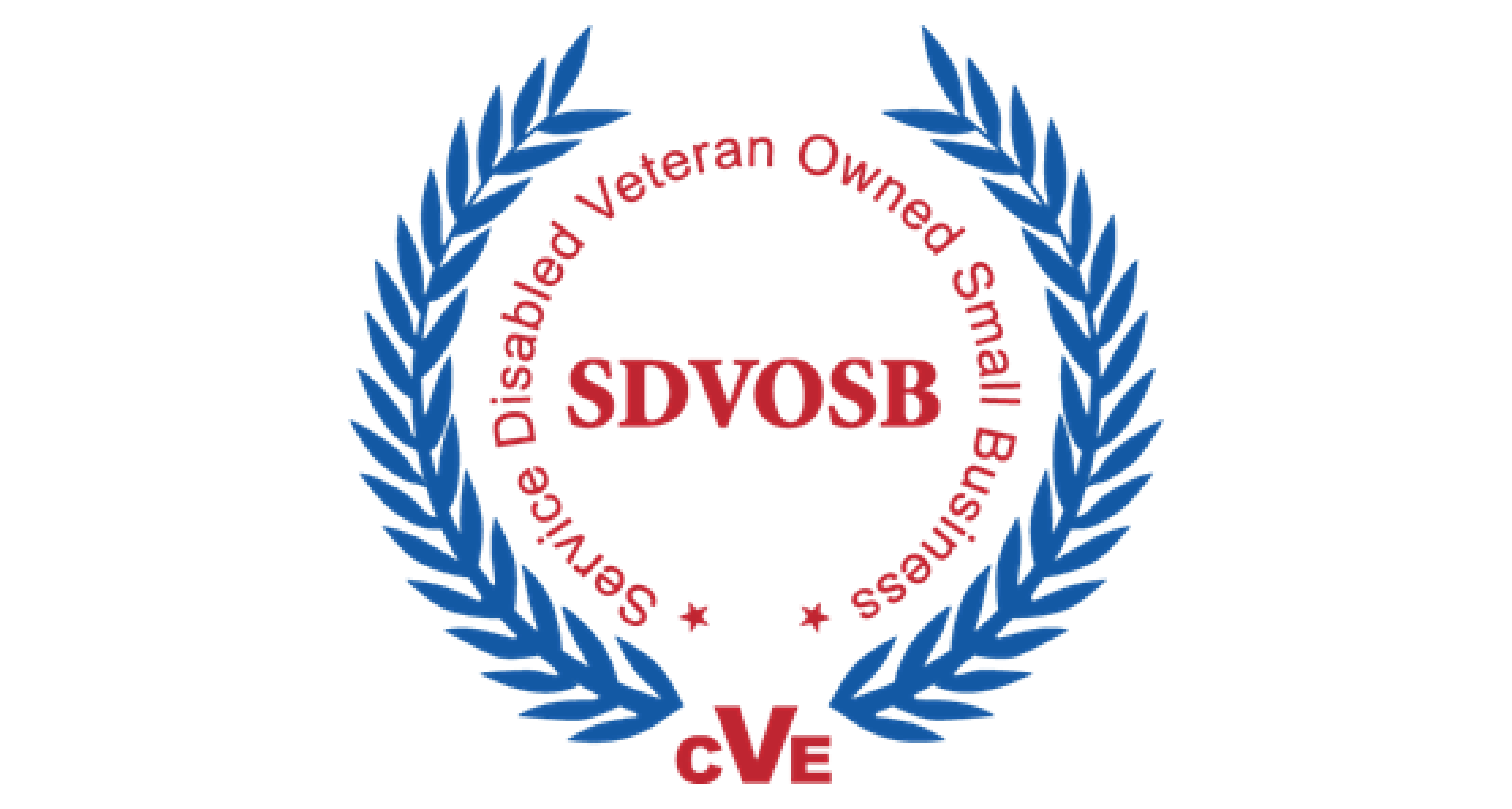 DTISDVOSB Logo